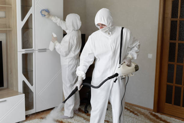 Best Certified Mold Removal  in Central Falls, RI