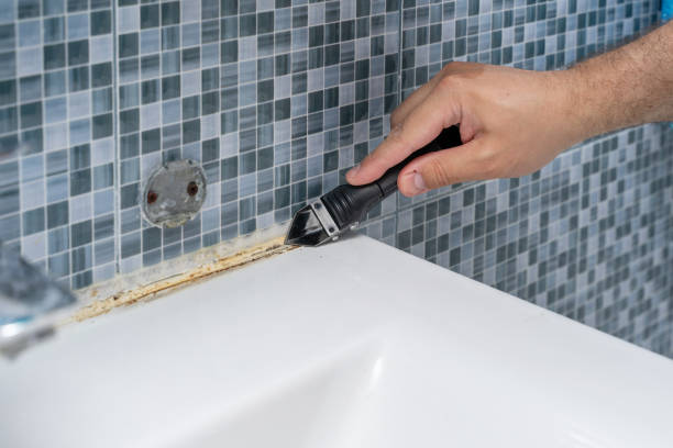 Best Office Mold Removal Services  in Central Falls, RI