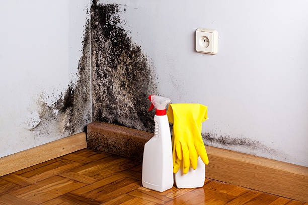 Best Water Damage Restoration  in Central Falls, RI